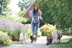 Step Off For National Walking Day, Wyckoff