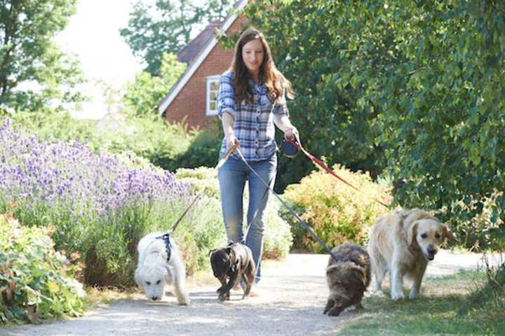 Step Off For National Walking Day, Wyckoff