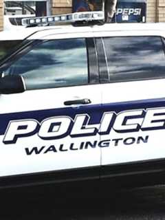 Wallington Police Officer Nabs Bleeding Bicyclist In Car Burglary Spree