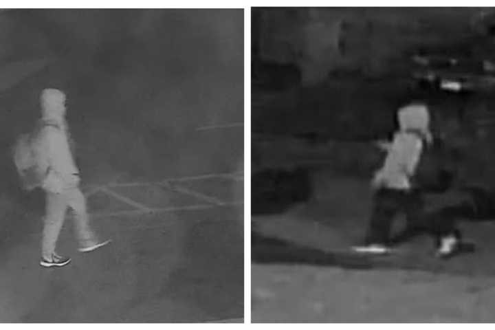 Police Asking For Help Identifying Armed CT Robbery Suspect