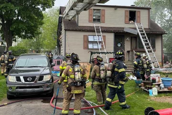 Firefighters Rescue Dog From Burning Home In Warminster (PHOTOS)