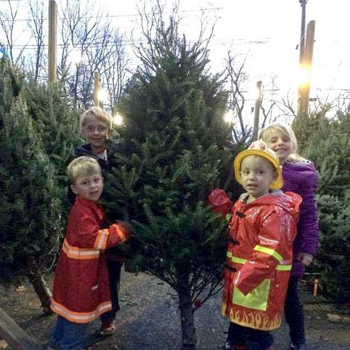 The Washington Township Fire Department Christmas tree sale is on every day until Christmas Eve.