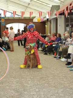 Dutchess Sheriff Issues 'Creepy Clown' Warning