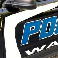 <p>Wayne police</p>