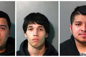 Alleged Long Island Gang Members Nabbed With Gun, Drugs, Police Say