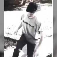 'First Grinch Of The Season': Package Thief Wanted In Chesco, Police Say
