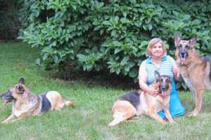 Herd Of German Shepherds Removed From Franklin Lakes Couple's Home