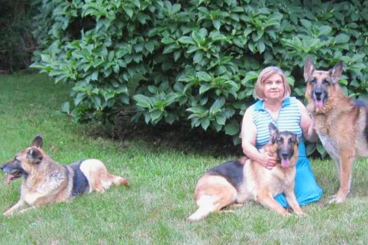 Herd Of German Shepherds Removed From Franklin Lakes Couple's Home