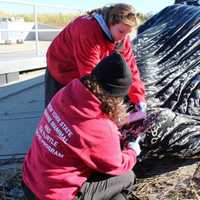 <p>Experts Lloyd Harbor, N.Y., examine a humpback whale that was found dead in Long Island Sound over the weekend. </p>