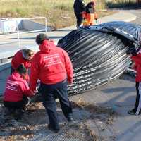 <p>Experts examine a humpback whale that was found dead in Long Island Sound over the weekend. </p>