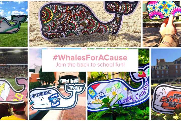 Vineyard Vines' Social Media Campaign Benefits Norwalk's Maritime Aquarium