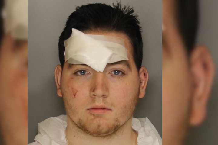 Chesco Thief Who Stabbed Cop In Head Learns His Fate