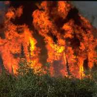 <p>Wildfires are intensifying, the report says.</p>