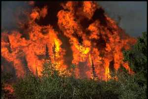 DEC: Warm Temps To Increase Risk of Wildfires In NYS
