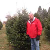 <p>Owner Randy Pratt in front of one of the 2014 Christmas trees at Wilkens Farm in Yorktown Heights.</p>