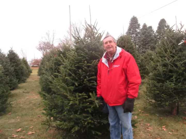 Owner Randy Pratt in front of one of the 2014 Christmas trees at Wilkens Farm in Yorktown Heights.