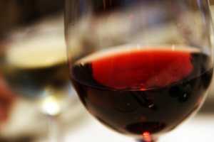 Clinton Corners Winery Goes To The Dogs