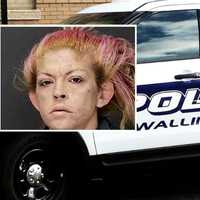 Wanted Suspect Caught After Ramming Wallington Police Car In Escape Attempt