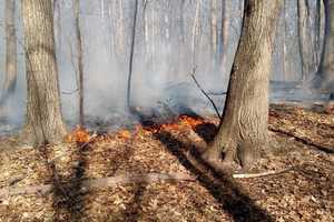 Teen Charged With Setting Five-Acre Fire In Darien's Woodland Park
