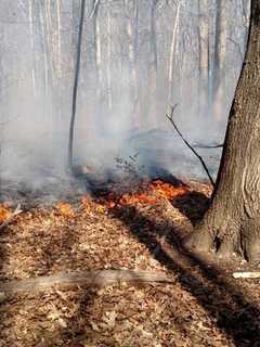Risk Of Brush Fires High Today In Fairfield County