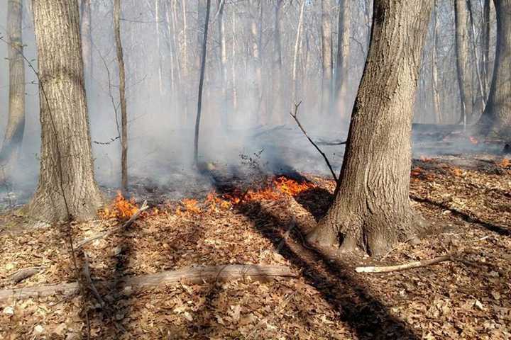 Teen Charged With Setting Five-Acre Fire In Darien's Woodland Park