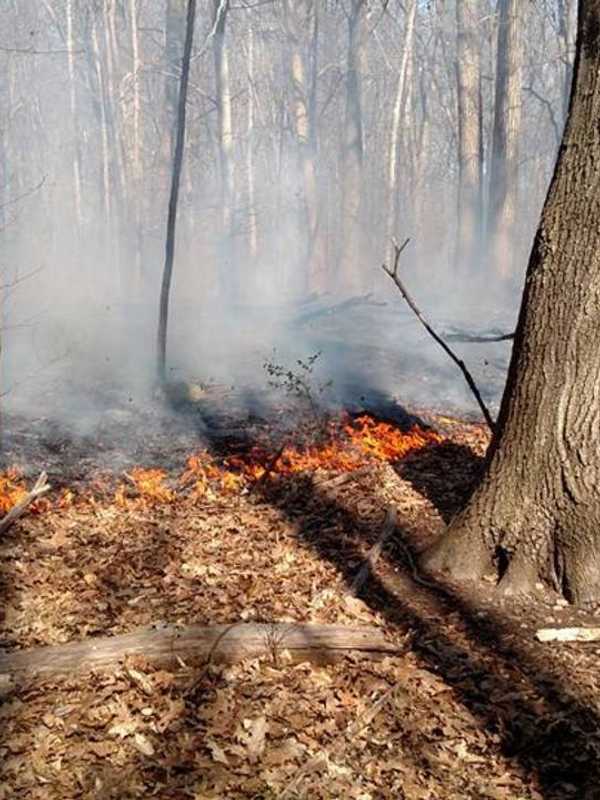 Risk Of Brush Fires High Today In Fairfield County
