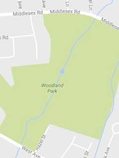 Darien Teens Injured When Tree Falls On Them In Woodland Park