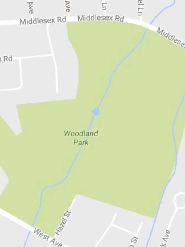 Darien Teens Injured When Tree Falls On Them In Woodland Park