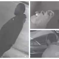Suspect Sought In Deadly Shooting Outside Philadelphia Bar, Police Say (VIDEO)