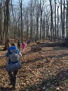 Lewisboro Land Trust Hosts Ramble Hike At Ward Pound Ridge Reservation