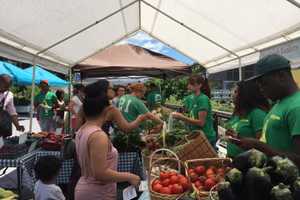 Greens, Baked Goods And More At Groundwork’s Yonkers Farmers’ Market