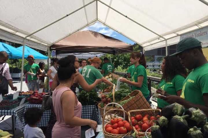 Greens, Baked Goods And More At Groundwork’s Yonkers Farmers’ Market