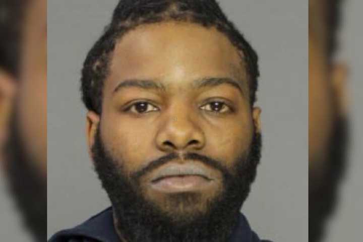 Philly Driver Found With Guns, Drugs In Berks: Police