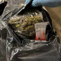 <p>The weed was seized at the airport.</p>