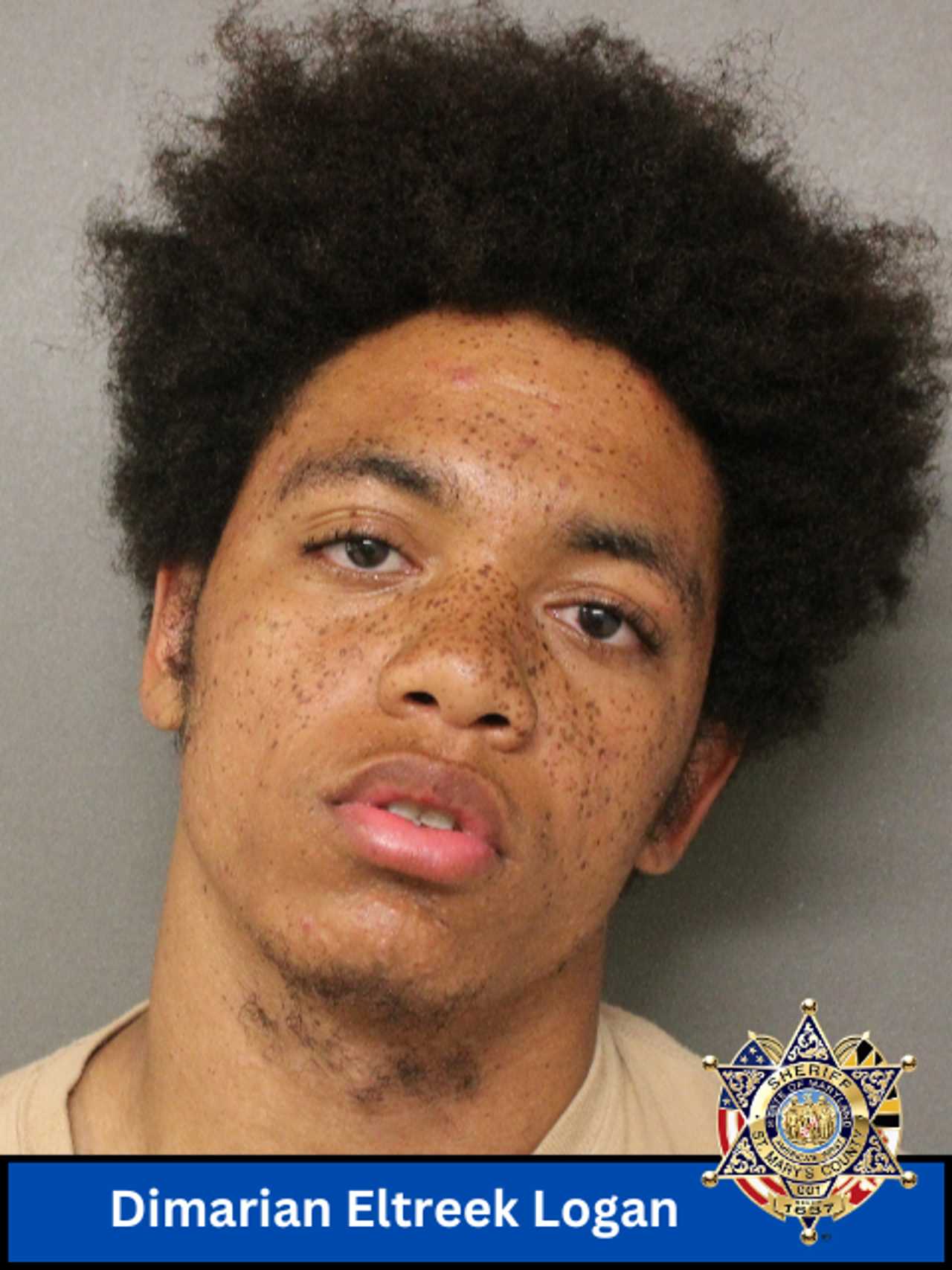 Escapee Apprehended After HoursLong Standoff In Maryland, Sheriff Says