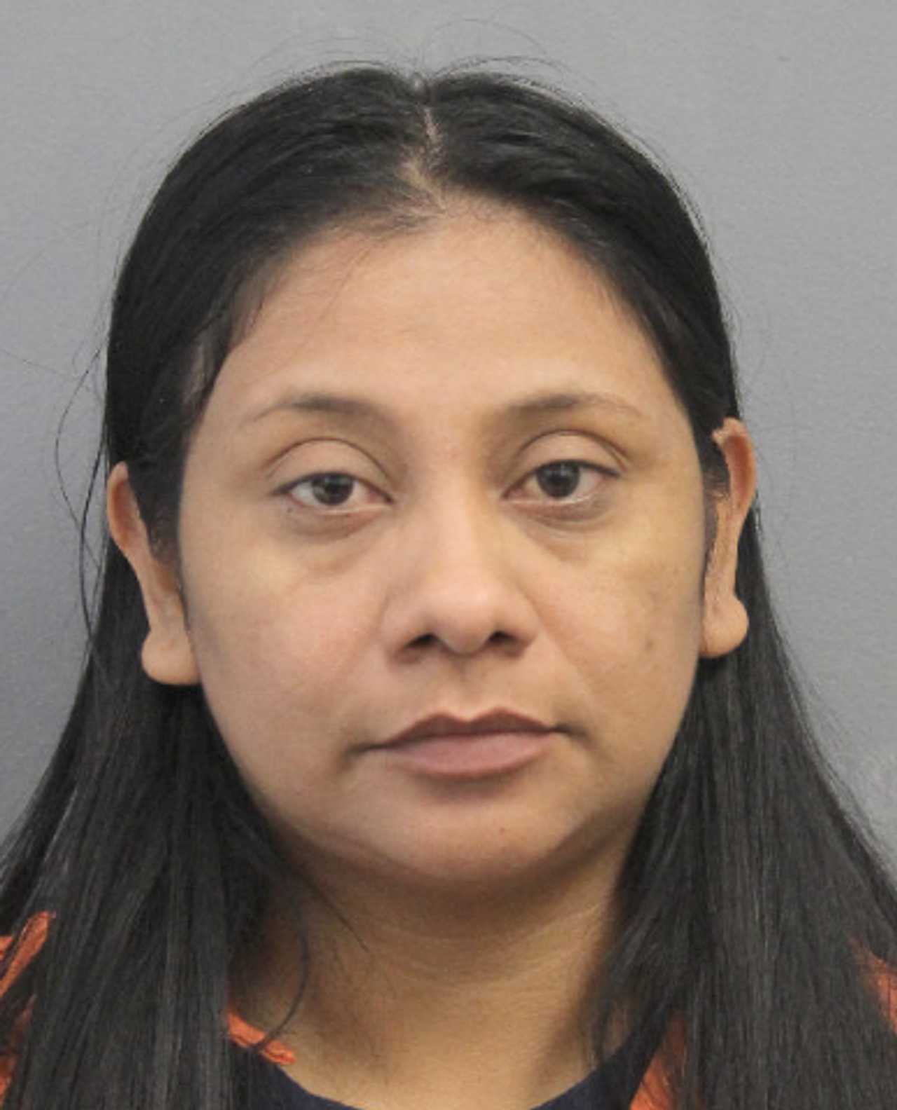 Virginia Woman Arrested For Striking Acquaintance With Iron During ...