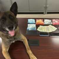 <p>Donta Shawn Allen was busted by a police K9</p>