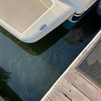 Boater Dumped Fuel, Untreated Human Waste Into Norwalk Harbor: Police