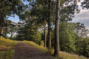 Best Park & Date Night Activity In Westchester In 2024: Rockefeller State Park Preserve