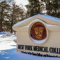 NY Medical College Workers To Strike Day Before Graduation, Demand 'Livable Wages'