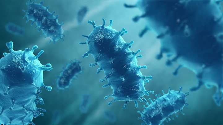 A rendering of the rabies virus. 