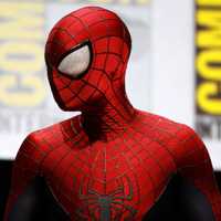 <p>Spider-Man</p>