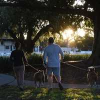Walk, Wag, Repeat: The Top 10 Dog-Friendly US Cities