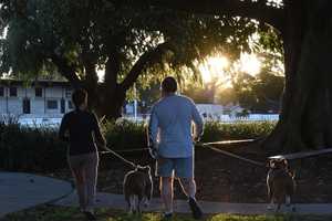 Walk, Wag, Repeat: The Top 10 Dog-Friendly US Cities