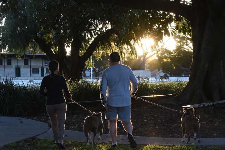 Walk, Wag, Repeat: The Top 10 Dog-Friendly US Cities