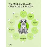<p>According to KURU's report, 47% of Americans own a dog and walk that dog 9.9 miles per week.
  
</p>