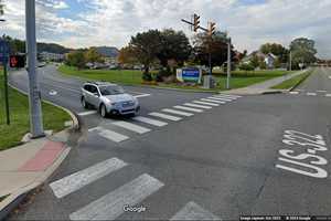 1-Year-Old Flown To Hershey Medical Center After Dog Attack In York County: Police