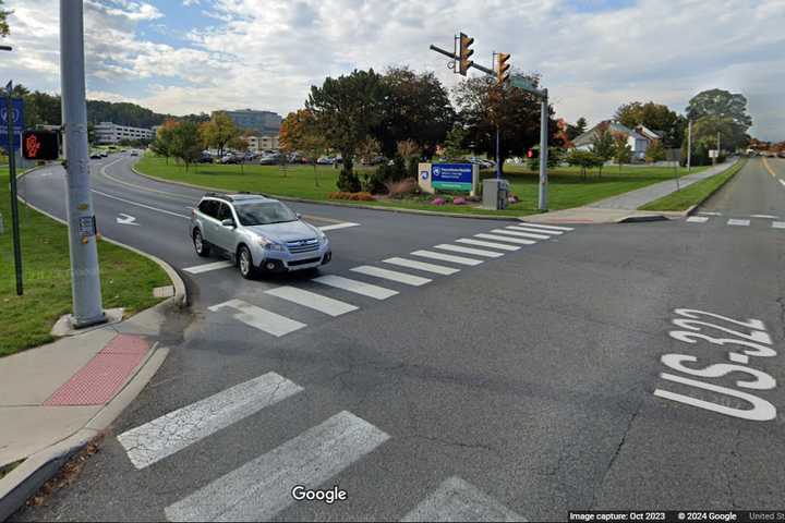 1-Year-Old Flown To Hershey Medical Center After Dog Attack In York County: Police