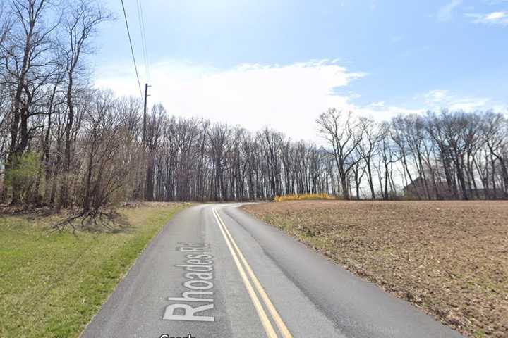 Kutztown Woman Dies Weeks After Crashing Into Tree: Lehigh County Coroner