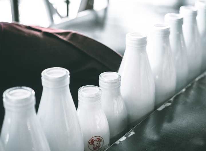 Raw milk in milk glass milk bottles.